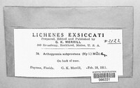 Image Associated With the Occurence